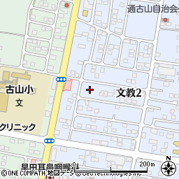 栃木県下野市文教2丁目4周辺の地図