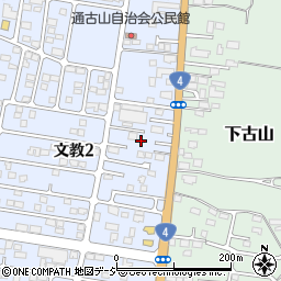 栃木県下野市文教2丁目276周辺の地図