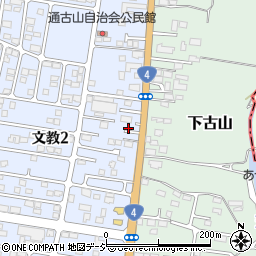 栃木県下野市文教2丁目267周辺の地図