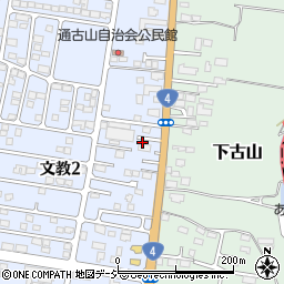 栃木県下野市文教2丁目265周辺の地図