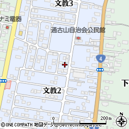 栃木県下野市文教2丁目14周辺の地図