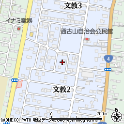 栃木県下野市文教2丁目13周辺の地図