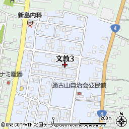 栃木県下野市文教3丁目周辺の地図