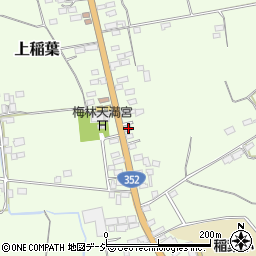 栃木県下都賀郡壬生町上稲葉237周辺の地図