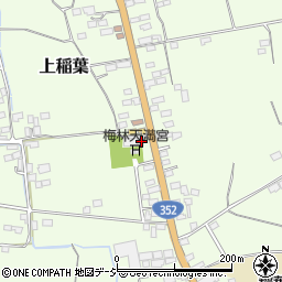栃木県下都賀郡壬生町上稲葉232周辺の地図