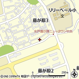 茨城県水戸市藤が原3丁目8-4周辺の地図