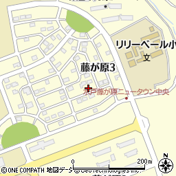 茨城県水戸市藤が原3丁目6-2周辺の地図