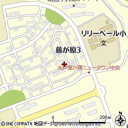 茨城県水戸市藤が原3丁目6-1周辺の地図