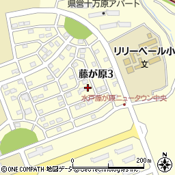 茨城県水戸市藤が原3丁目6-9周辺の地図