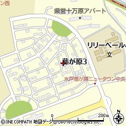 茨城県水戸市藤が原3丁目6-11周辺の地図