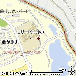 茨城県水戸市藤が原3丁目1117-1301周辺の地図