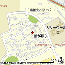 茨城県水戸市藤が原3丁目6-13周辺の地図