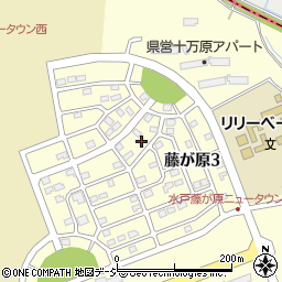 茨城県水戸市藤が原3丁目4-9周辺の地図