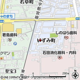 栃木県下都賀郡壬生町いずみ町4-20周辺の地図