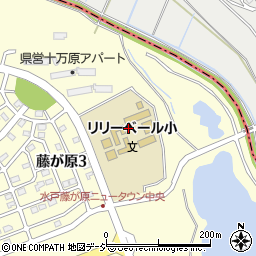 茨城県水戸市藤が原3丁目1117周辺の地図