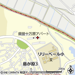 茨城県水戸市藤が原3丁目1117-1297周辺の地図