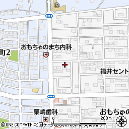 栃木県下都賀郡壬生町おもちゃのまち2丁目8-4周辺の地図