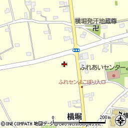 ファミリーマート那珂横堀店周辺の地図