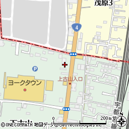 栃木県下野市下古山3376周辺の地図