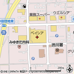 ベイシア渋川店周辺の地図