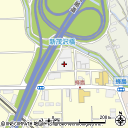 群馬レジャーランド渋川店周辺の地図