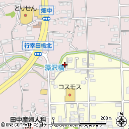 有限会社群馬ＤＭサービス周辺の地図