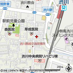 群馬県渋川市渋川辰巳町1690-9周辺の地図