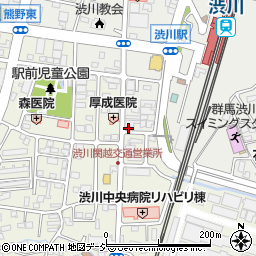 群馬県渋川市渋川辰巳町1690-22周辺の地図