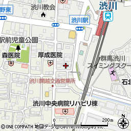 群馬県渋川市渋川辰巳町1690-6周辺の地図