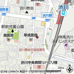 群馬県渋川市渋川辰巳町1690-12周辺の地図