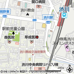 群馬県渋川市渋川辰巳町1690-13周辺の地図