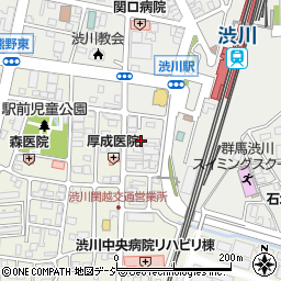 群馬県渋川市渋川辰巳町1690-25周辺の地図