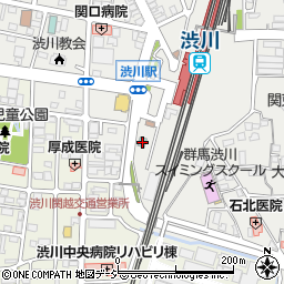 群馬県渋川市渋川辰巳町1689周辺の地図
