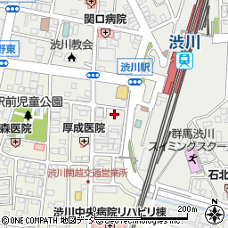 群馬県渋川市渋川辰巳町1690-21周辺の地図
