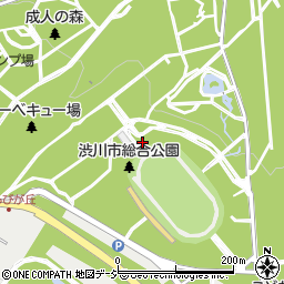 群馬県渋川市渋川4230周辺の地図
