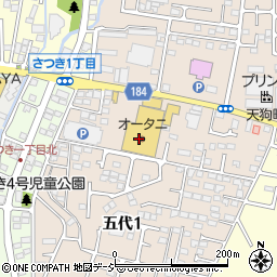金田生花五代店周辺の地図