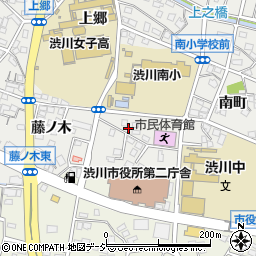 群馬県渋川市渋川2600周辺の地図