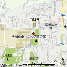 群馬県渋川市渋川780周辺の地図
