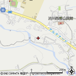群馬県渋川市渋川3917周辺の地図