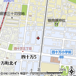 タニモト商事周辺の地図
