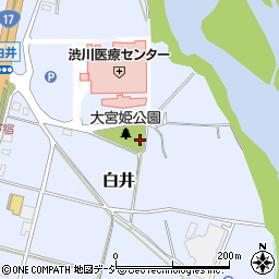 大宮姫神社周辺の地図