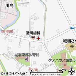 富山県南砺市理休332周辺の地図