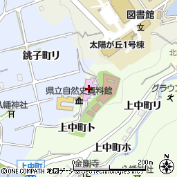 石川県立自然史資料館周辺の地図