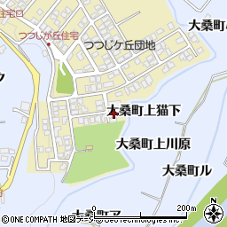 石川県金沢市つつじが丘256周辺の地図