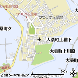 石川県金沢市つつじが丘247周辺の地図
