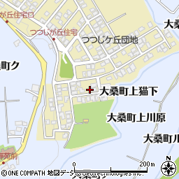 石川県金沢市つつじが丘245周辺の地図