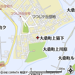 石川県金沢市つつじが丘244周辺の地図