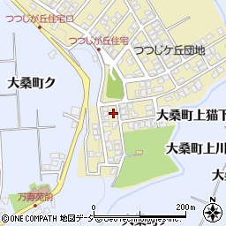 石川県金沢市つつじが丘228周辺の地図