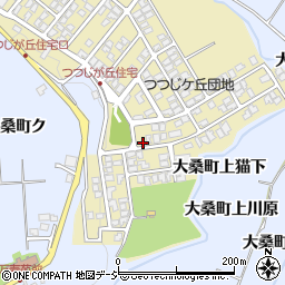 石川県金沢市つつじが丘295周辺の地図