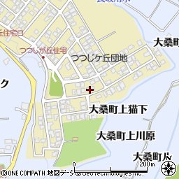 石川県金沢市つつじが丘290周辺の地図